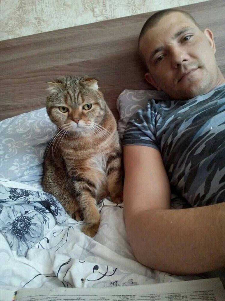 ���� 43921511 ������� ���������, 35 ���, ���� ���������� � ����������