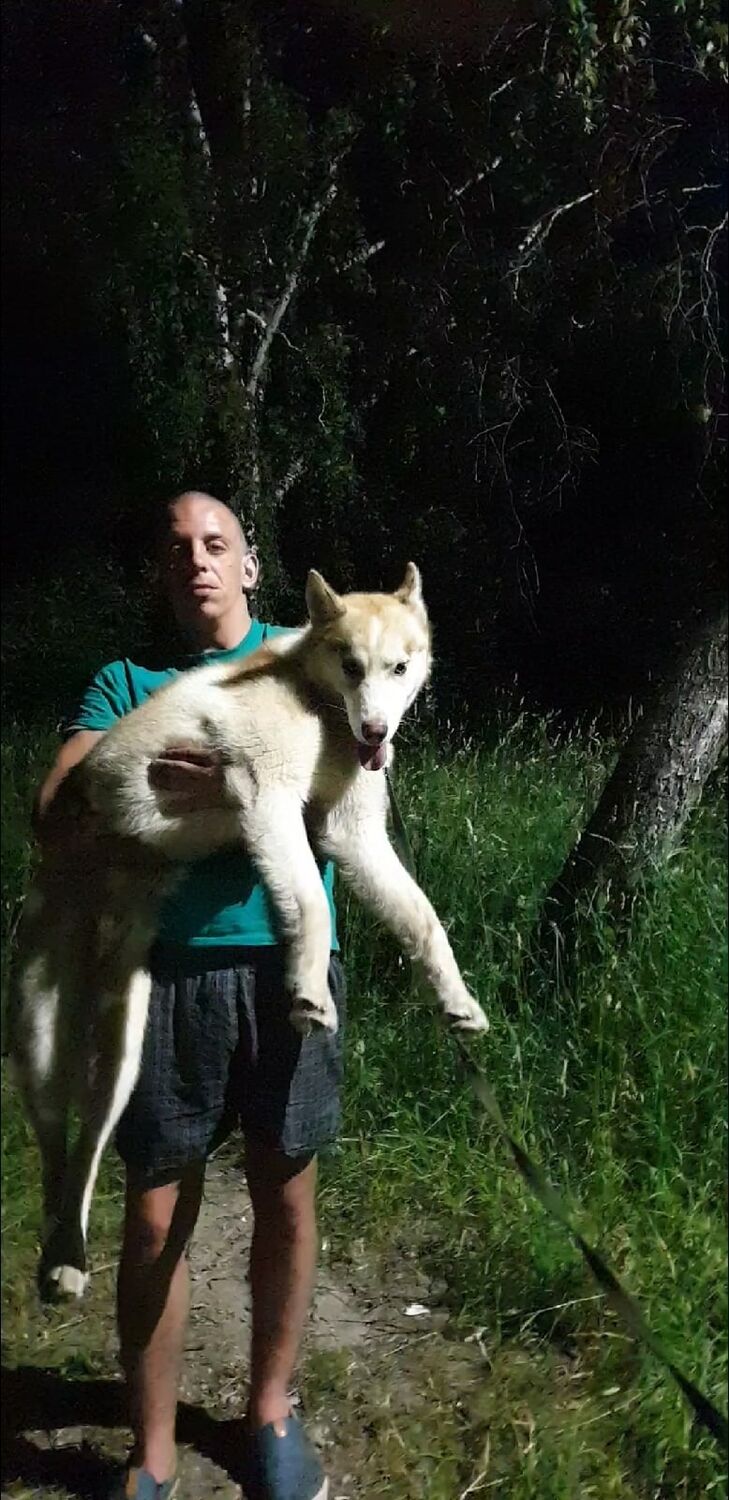 ���������� ������, ���� ������� ������, 35 ���, ������������ ��� ������, ����� � ���������, c�������� ���������