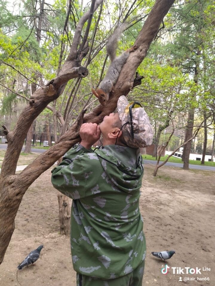 ���������� ������, ���� ������� ����������, 59 ���, ������������ ��� ������, ����� � ���������, c�������� ���������