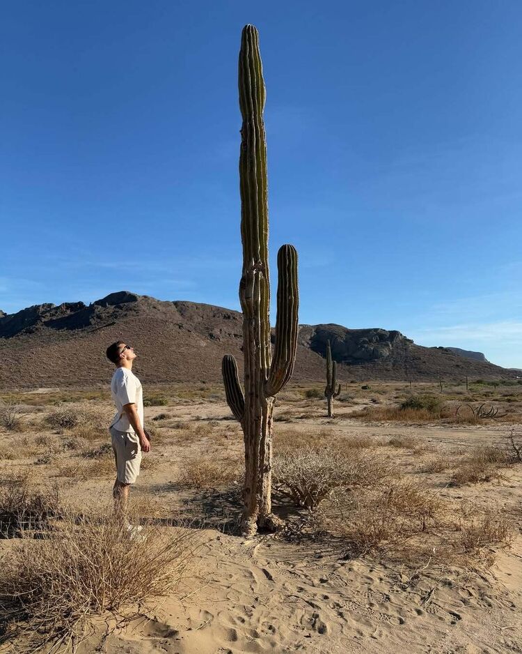 ���������� ���������, ���� ������� ������, 33 ����, ������������ ��� ����� � ���������, c�������� ���������