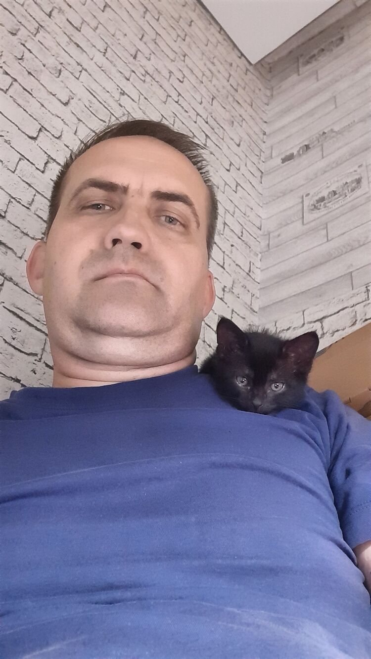  ,   , 51 ,  