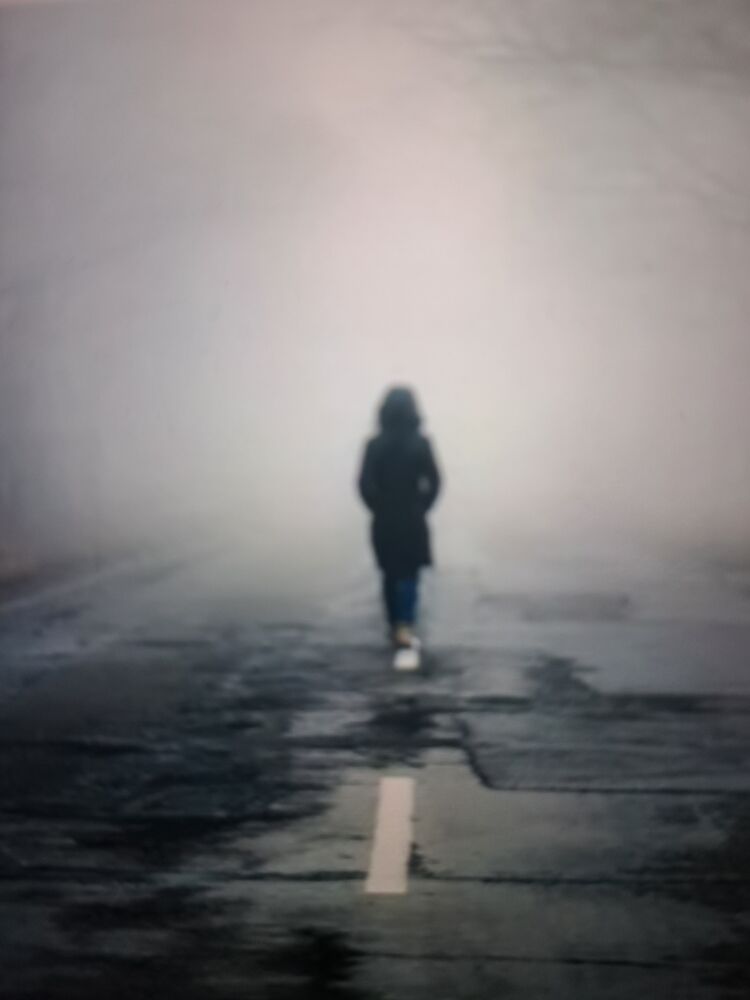  29658721  , 62 ,    