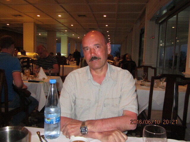  29616481  , 67 ,    -