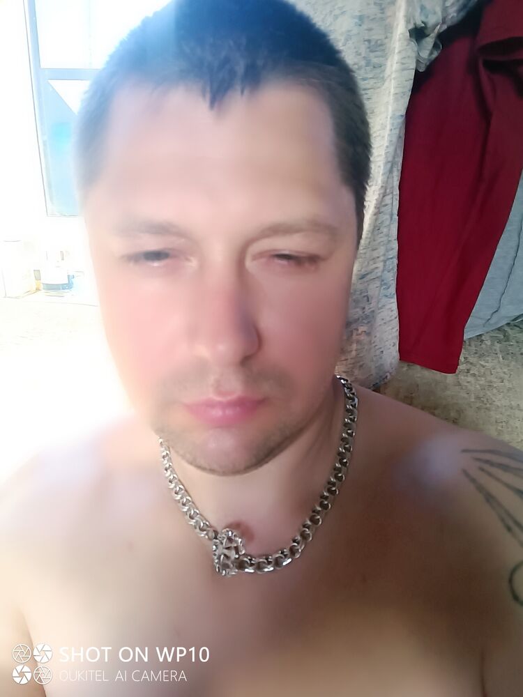  51032981  , 38 ,    