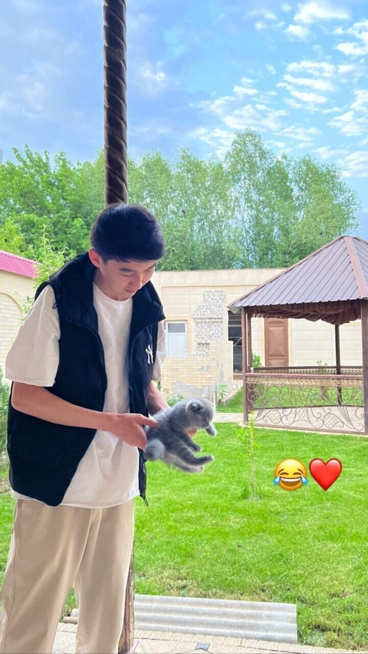 ���� 27791791 ������� Sayko, 26 ���, ���� ���������� � ��������