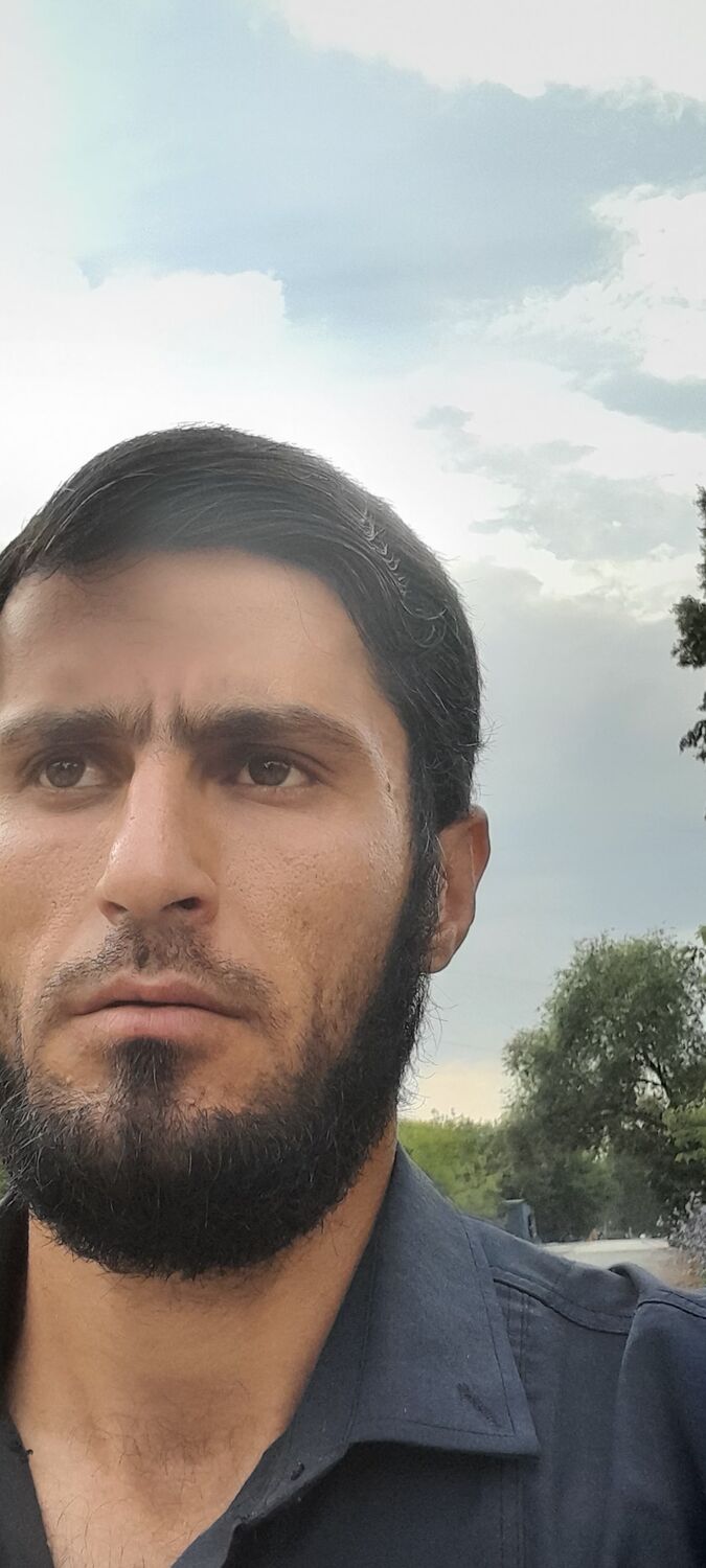 ���� 38126561 ������� �������, 30 ���, ���� ���������� � �����