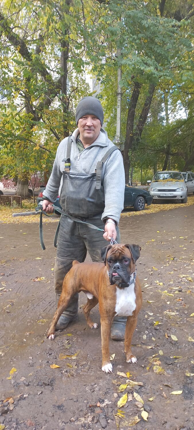  30938061  Tulegen, 54 ,    