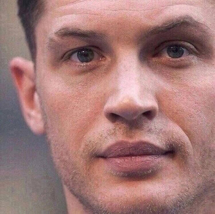 ���� 50116181 ����� �������, 23 ����, ���� ���������� � ������