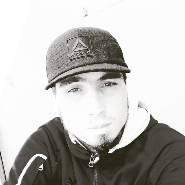  40497011  , 31 ,    -