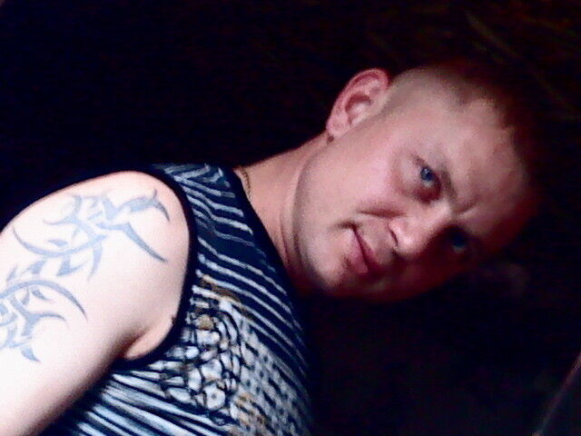  4333641  , 41 ,    