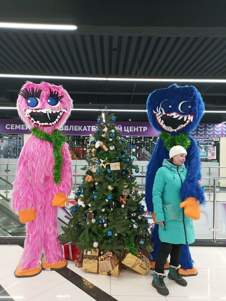  31089071  , 49 ,    -