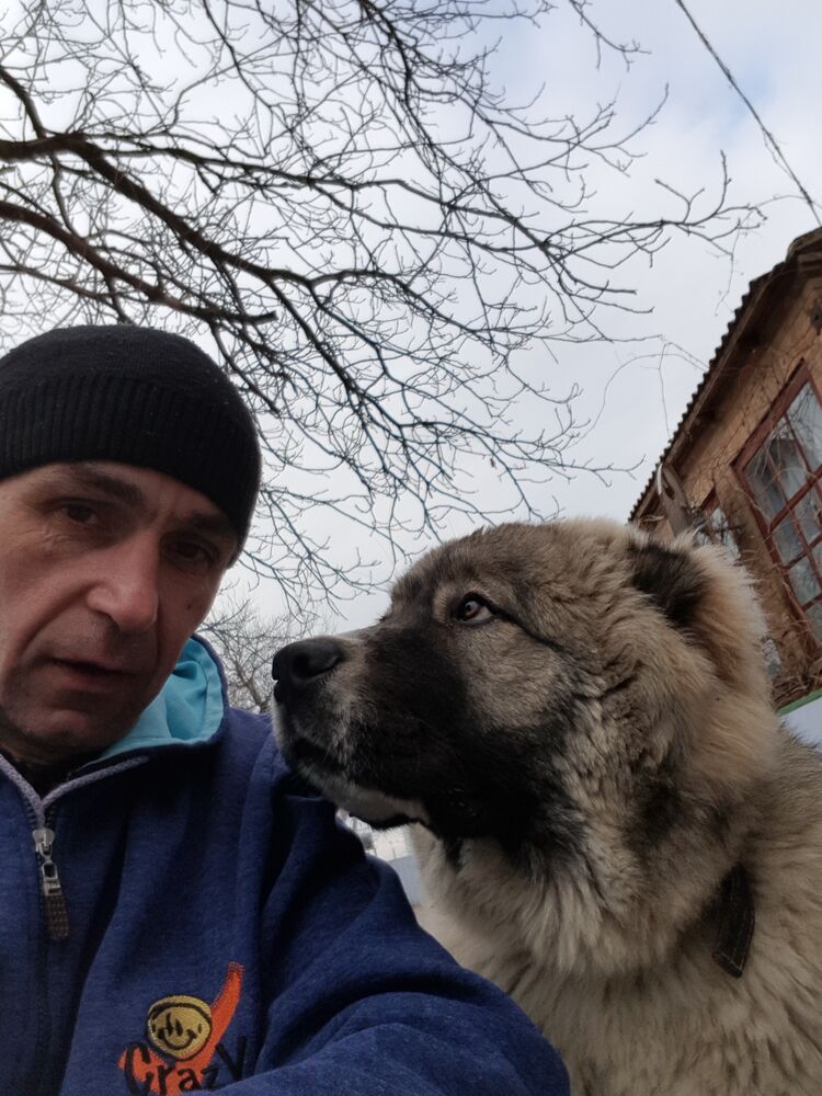 ���������� �����, ���� ����� �����, 20 ���, ������������ 