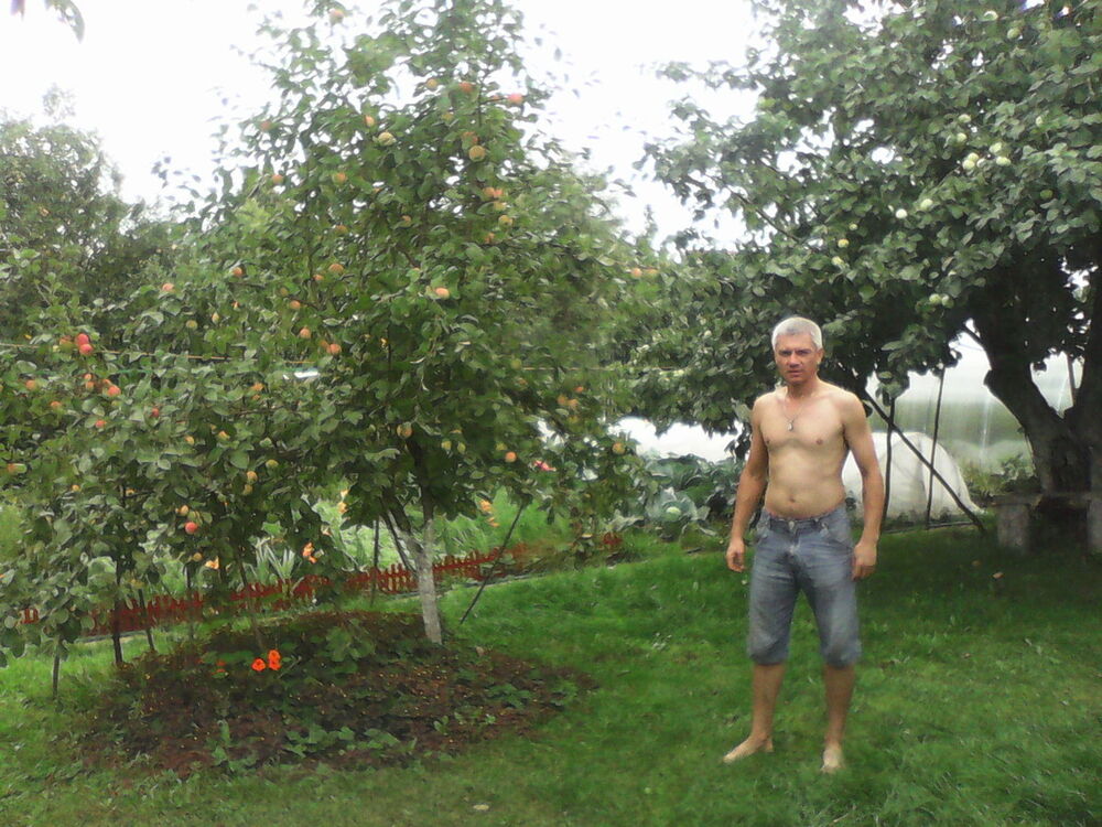  4840841  Grek, 48 ,    