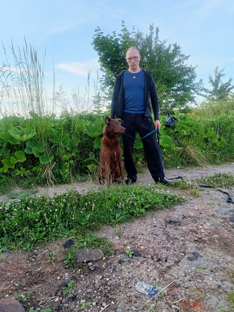 ���������� �����������, ���� ������� ����, 34 ����, ������������ ��� ������, ����� � ���������