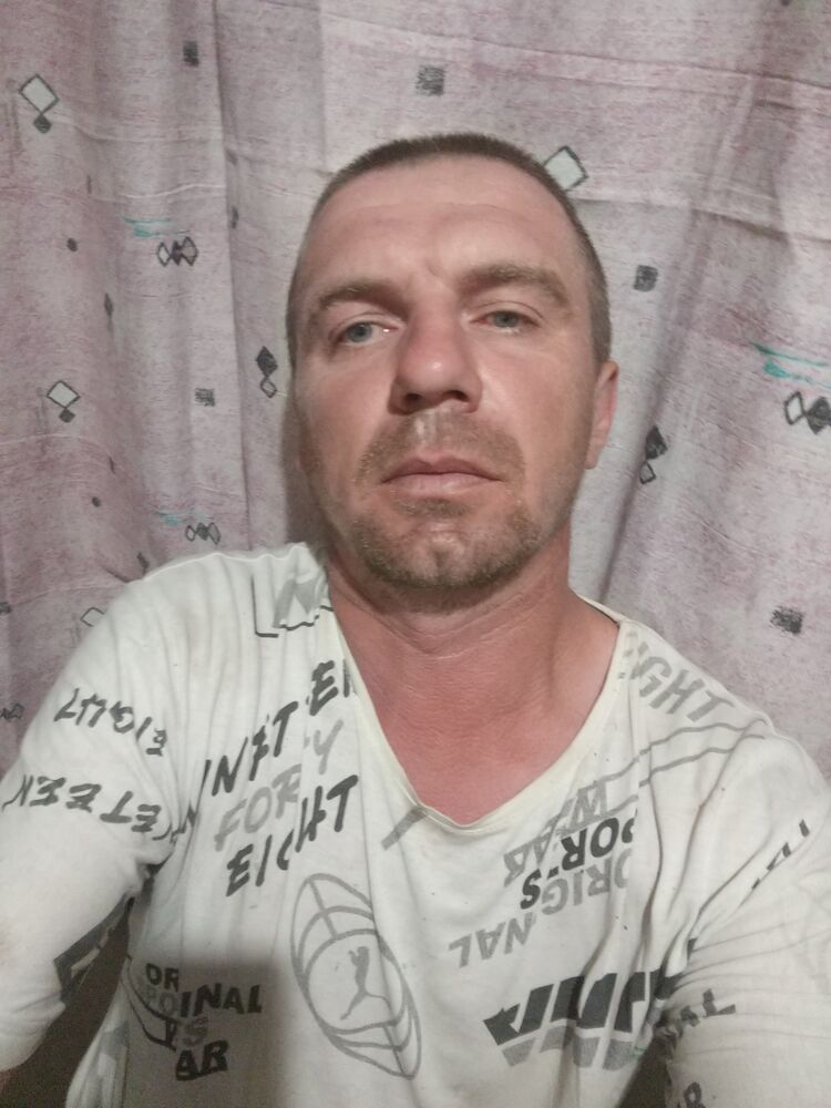  43436911  , 38 ,    
