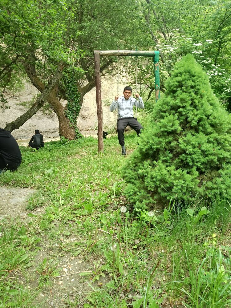 ���� 43906081 ������� ����, 32 ����, ���� ���������� � ������