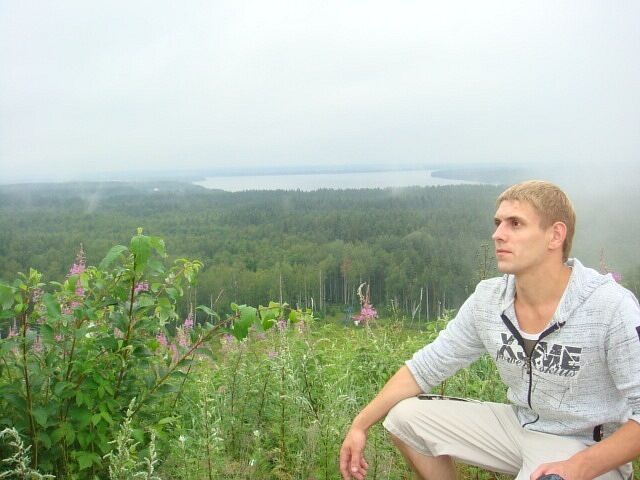  45117641  , 38 ,    -