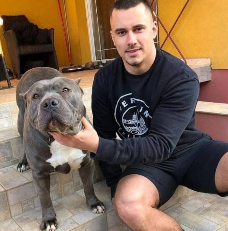 ���� 55690061 ������� ������, 36 ���, ���� ���������� � �������