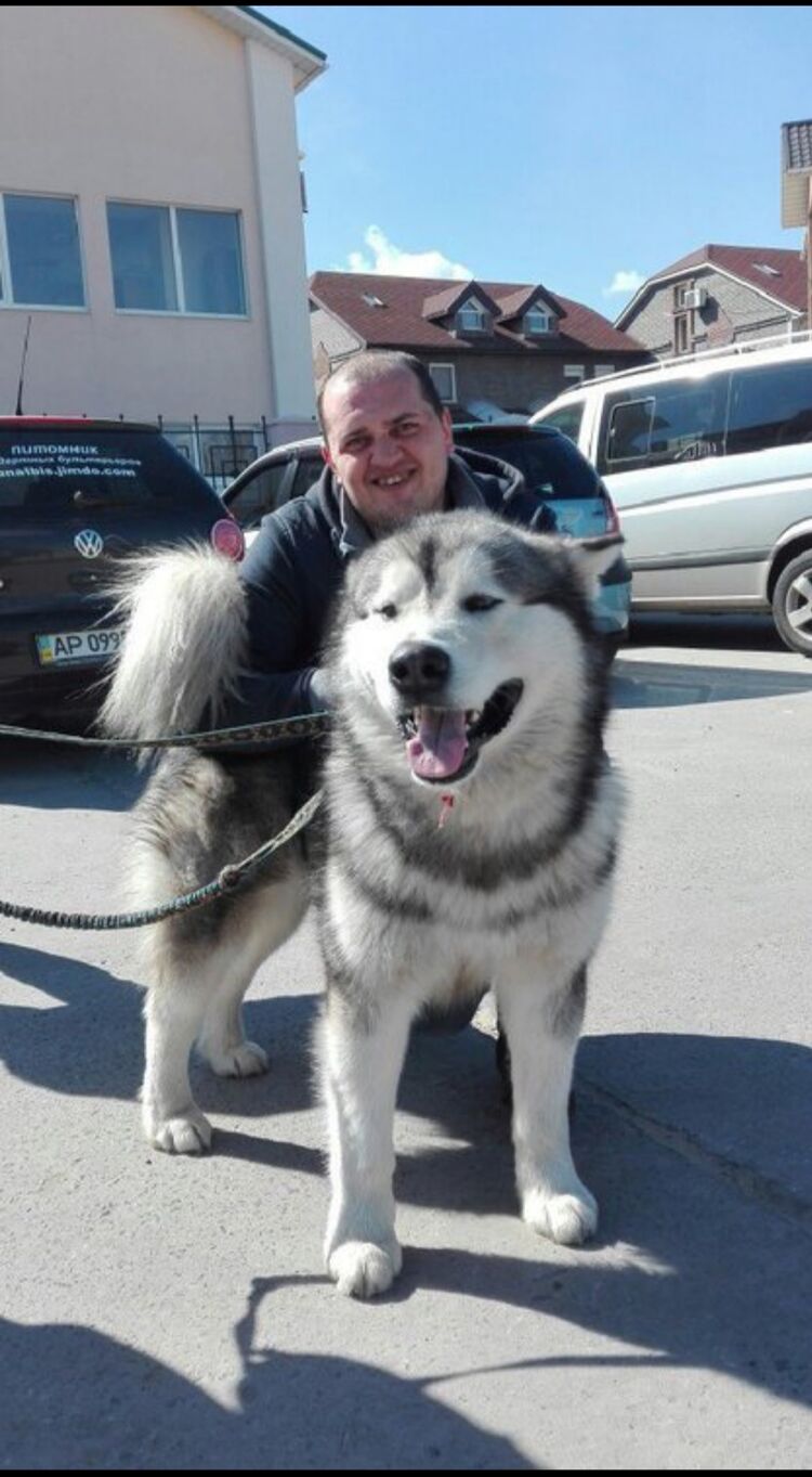 ���������� ���������, ���� ������� �������, 38 ���, ������������ ��� ������, ����� � ���������