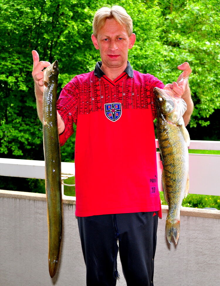  5081321  Andykiti, 65 ,    Wiesbaden