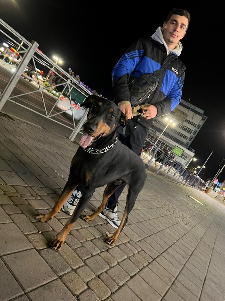 ���� 38643861 ������� ������, 27 ���, ���� ���������� � ����������