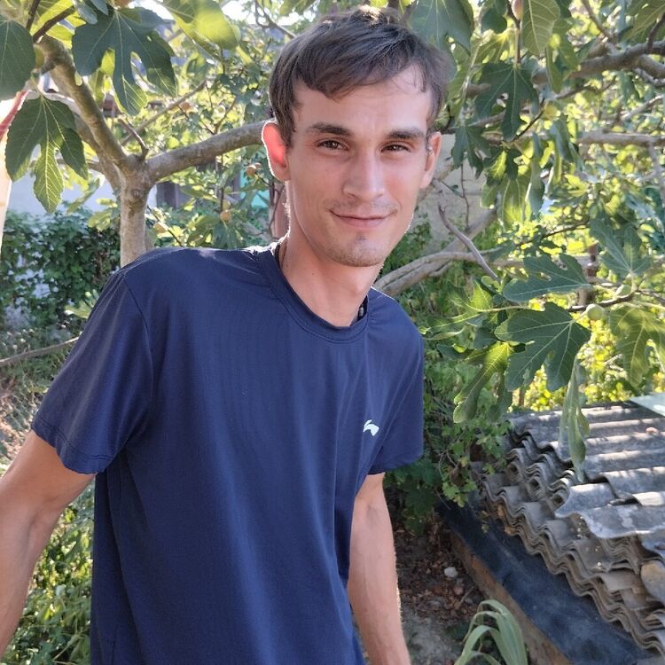  51113441  , 32 ,    --