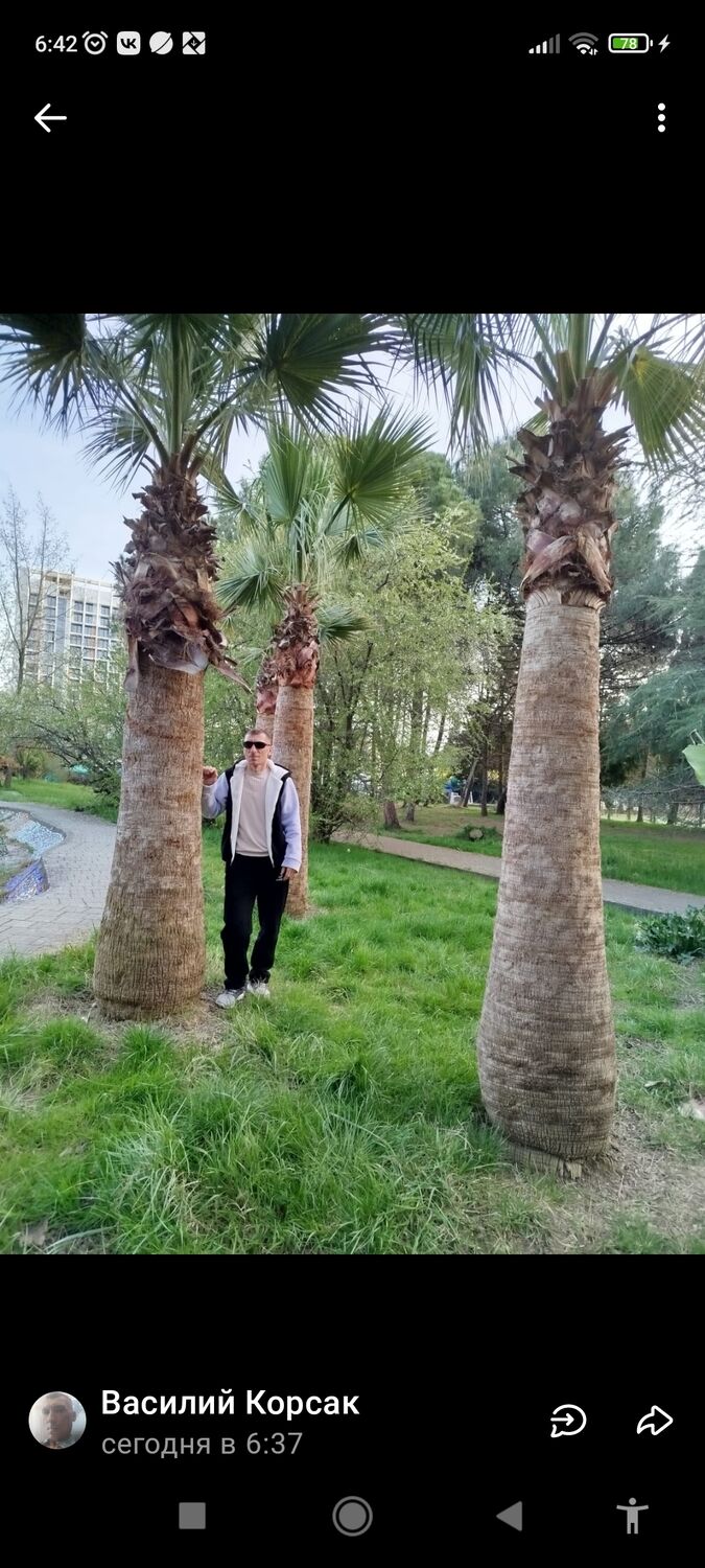 ���������� �����-���������, ���� ������� �������, 42 ����, ������������ ��� ������, ����� � ���������, c�������� ���������