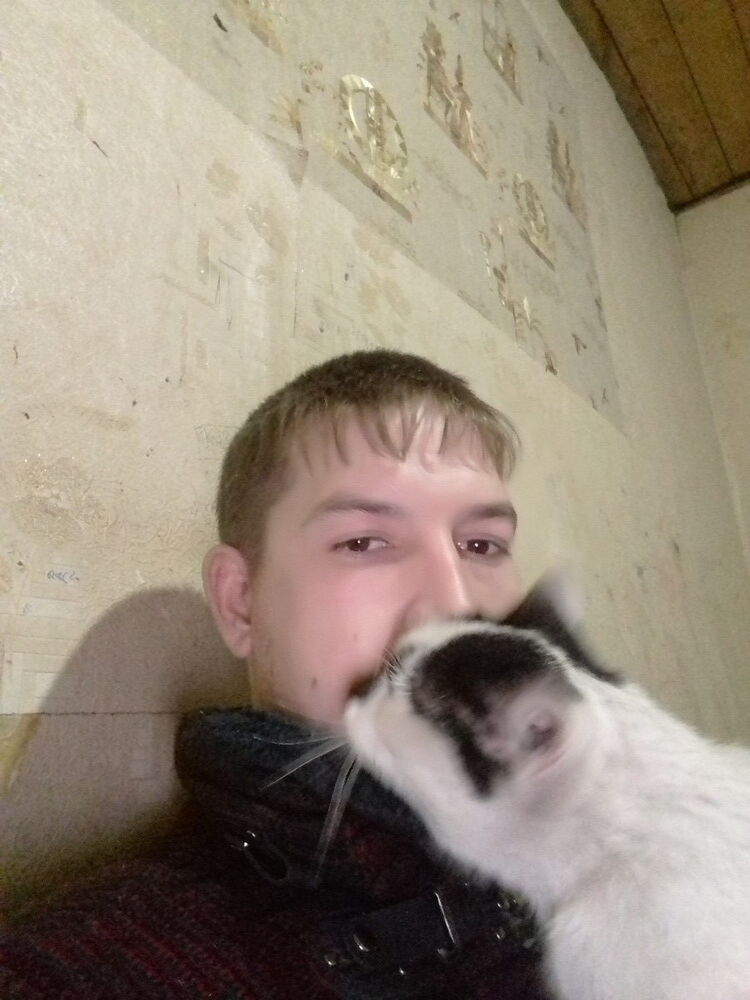 ���� 15069341 ������� ������, 38 ���, ���� ���������� � �������