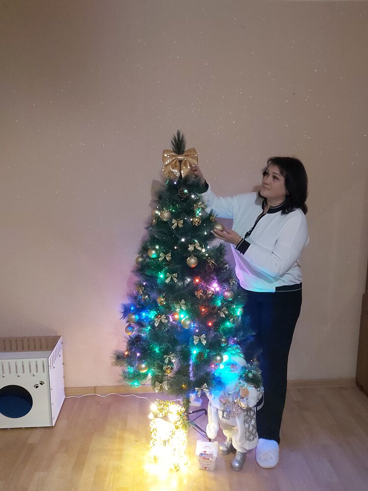 ���� 55079161 ������� ����, 49 ���, ���� ���������� � ������