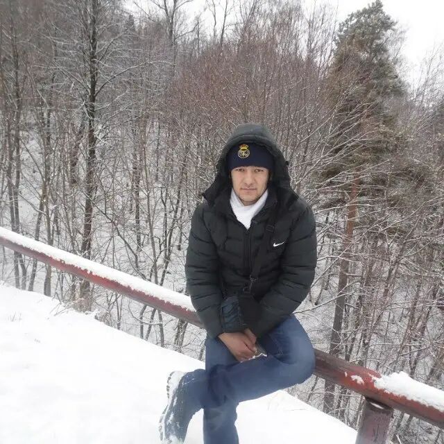  26781481  , 33 ,    -