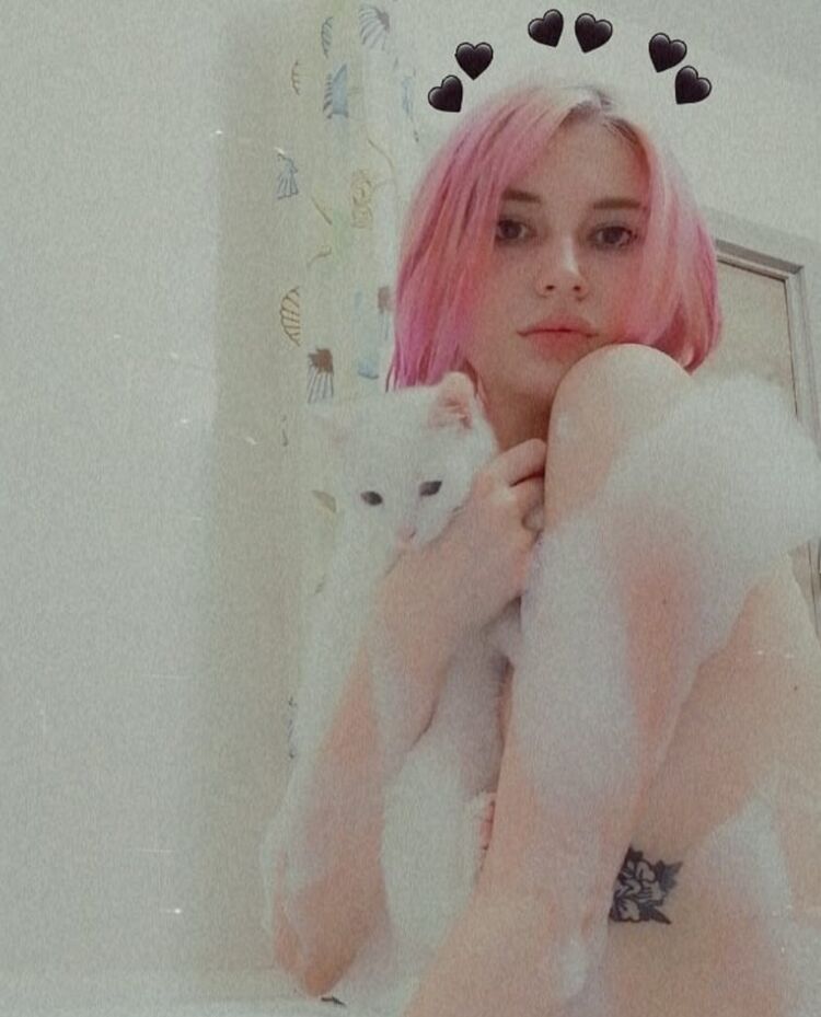 ���������� �����-���������, ���� ������� ���������, 25 ���, ������������ ��� ������, ����� � ���������