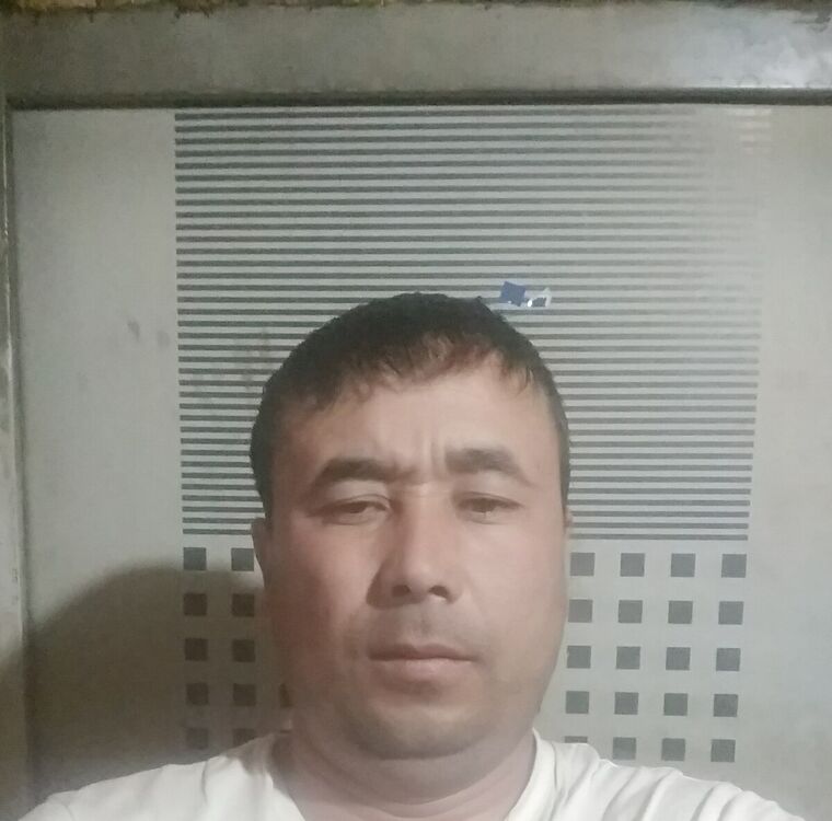 ���������� ������, ���� ������� Baxti, 39 ���, ������������ ��� ������, ����� � ���������