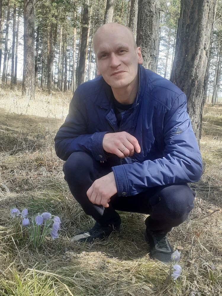  53202661  , 40 ,    -