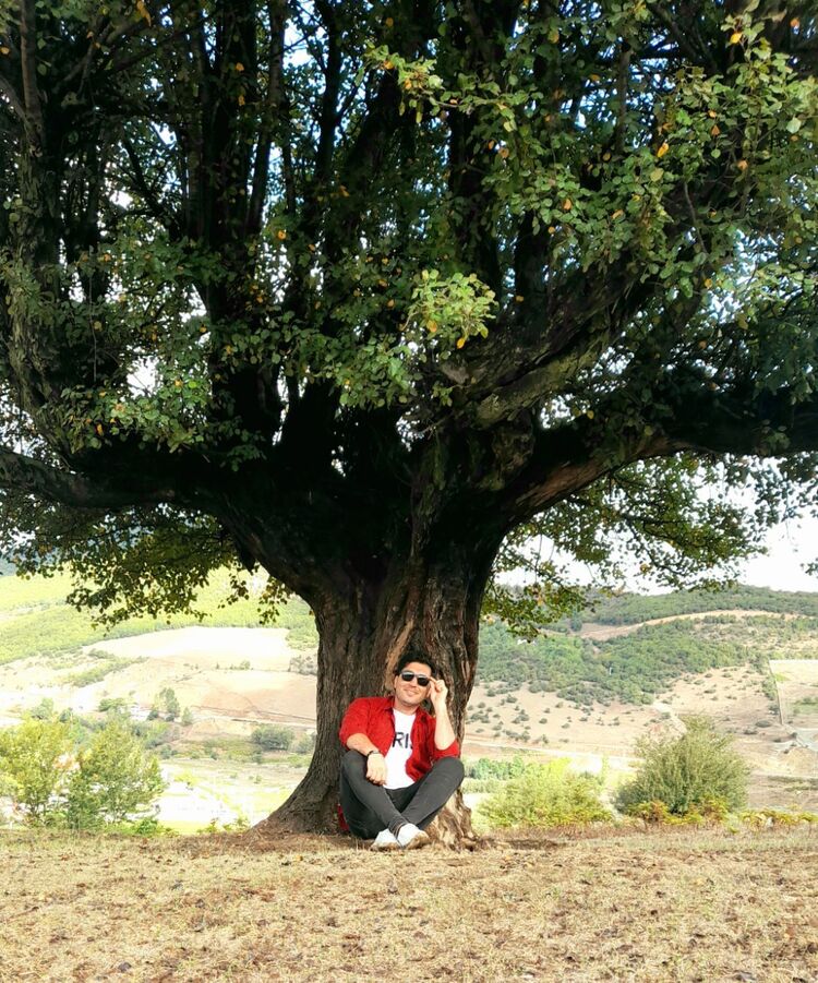 ���� 24685991 ������� Milad, 29 ���, ���� ���������� � ������