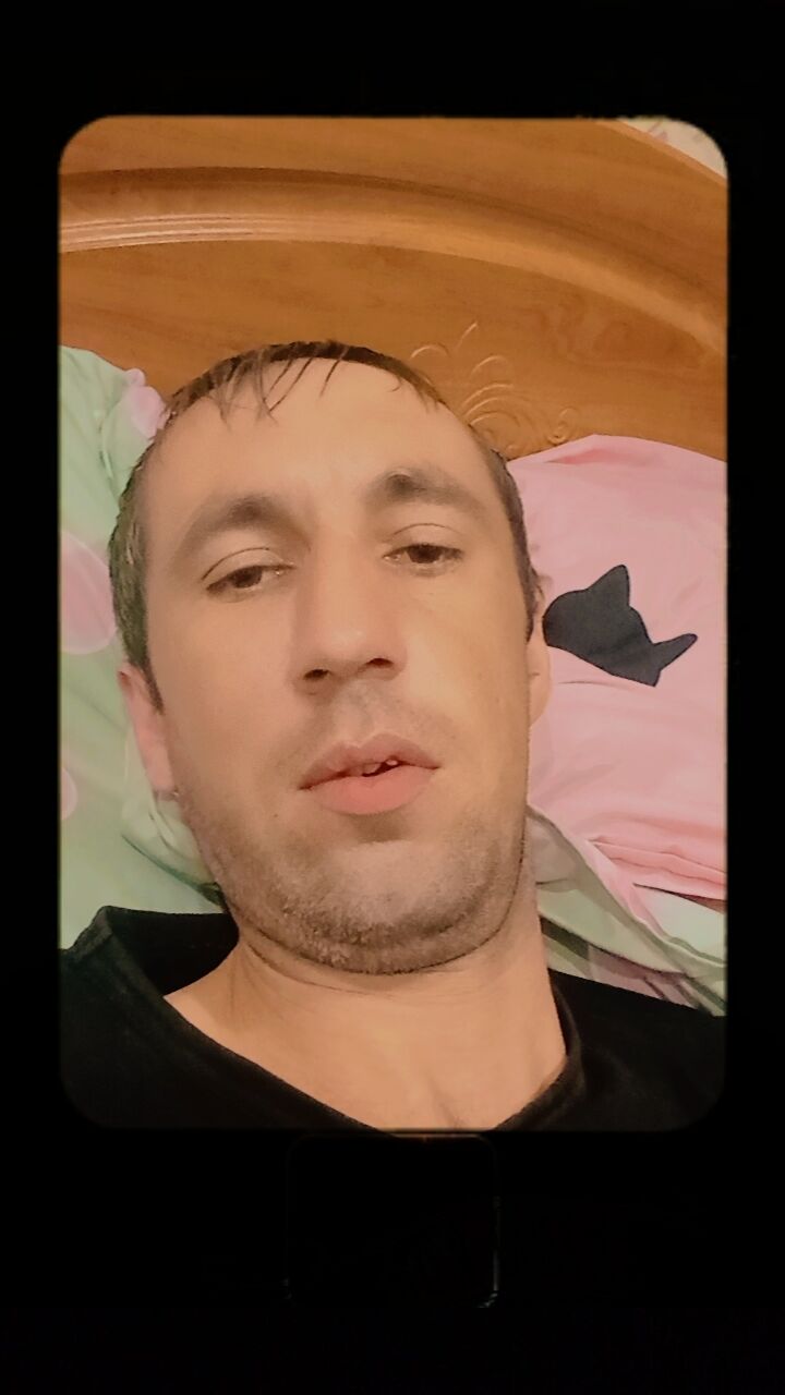  48033831  , 34 ,    