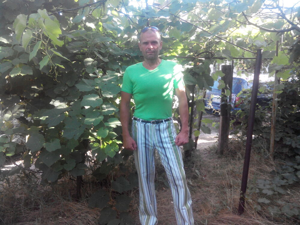 ���� 17335431 ������� �������, 49 ���, ���� ���������� � �����