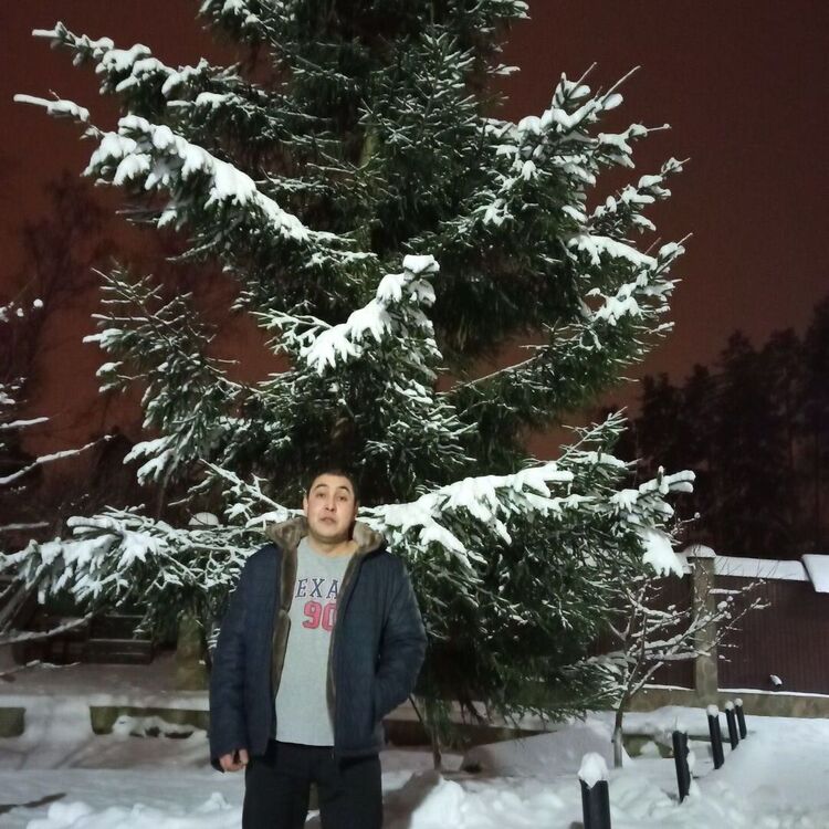 ���� 25505241 ������� ����, 38 ���, ���� ���������� � �������