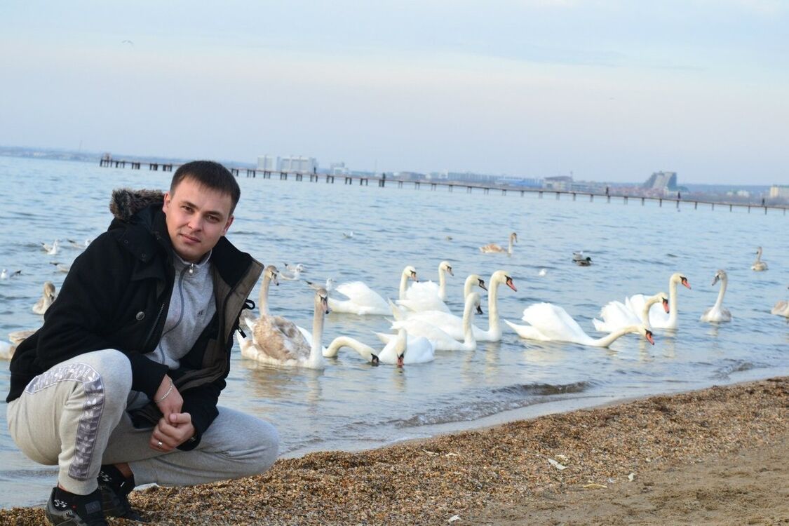 ���� 11699951 ������� ����, 40 ���, ���� ���������� � ����������