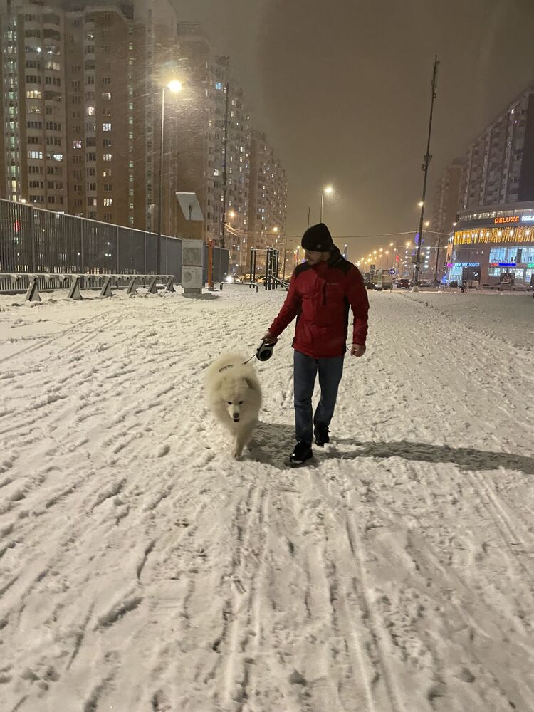 ���� 25856091 ������� ���, 29 ���, ���� ���������� � ������