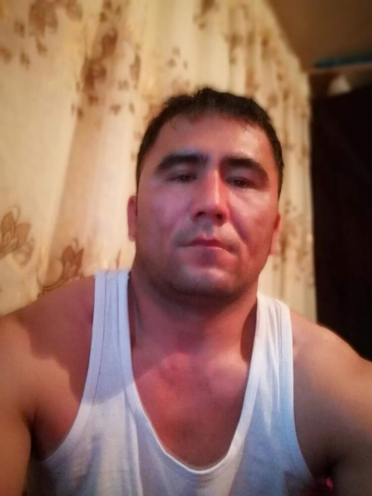  33867461  , 46 ,    