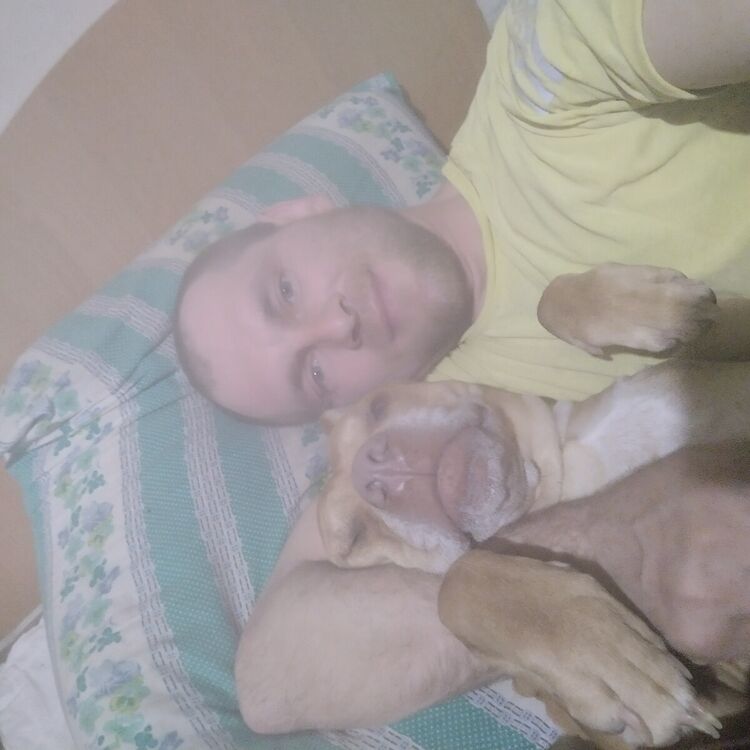 ���������� ����������, ���� ������� ����, 37 ���, ������������ 