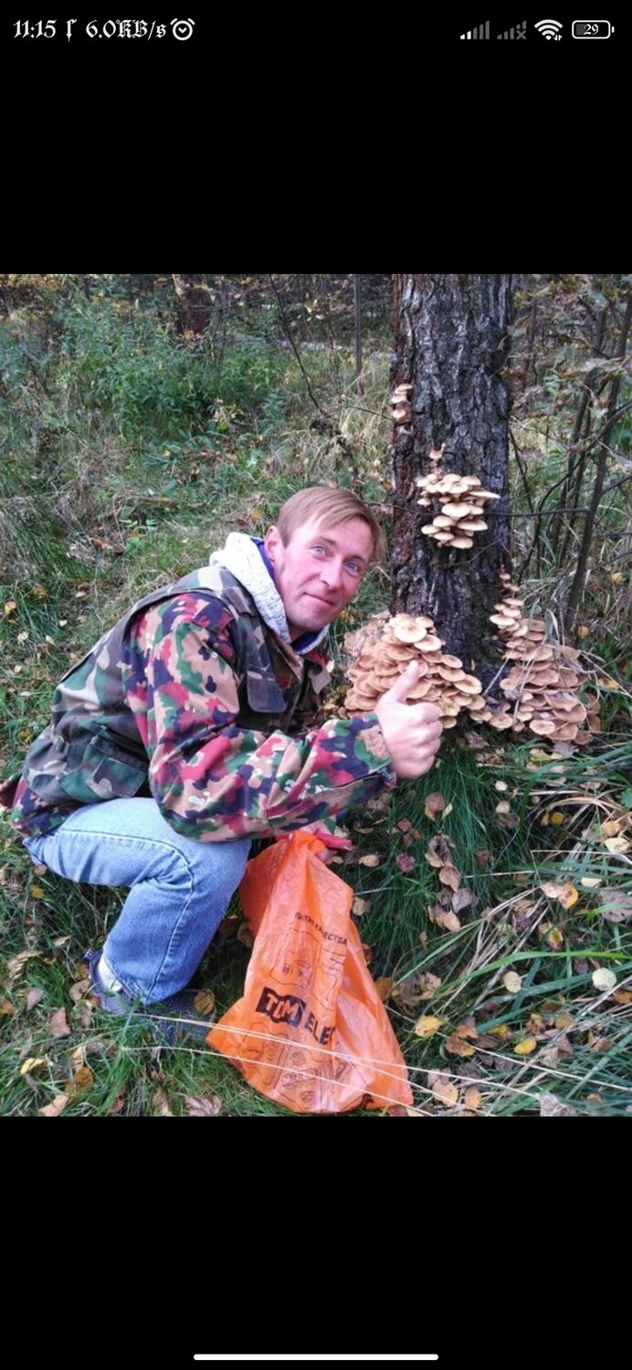  ,   Taurus, 47 ,   ,   
