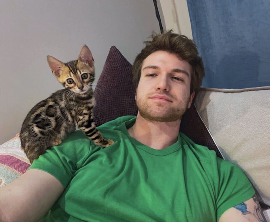 ���������� �����, ���� ������� Ludwig, 30 ���, ������������ ��� ������, ����� � ���������, c�������� ���������, ���������