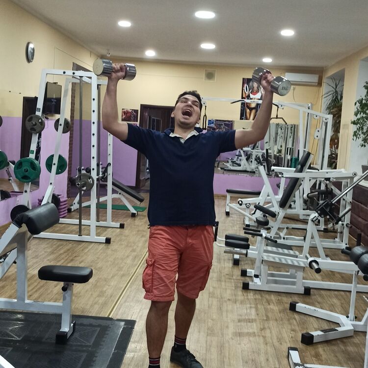  28538771  , 31 ,    