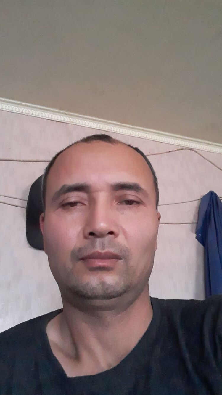  38265221  , 43 ,    