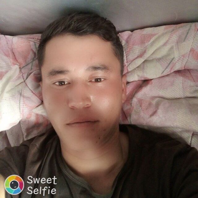  39539021  , 31 ,    