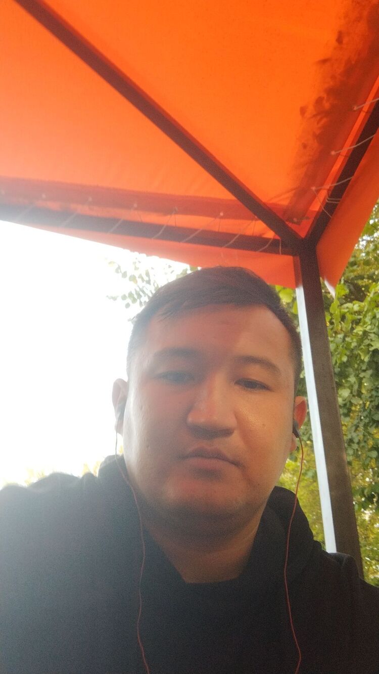  31983791  , 33 ,    