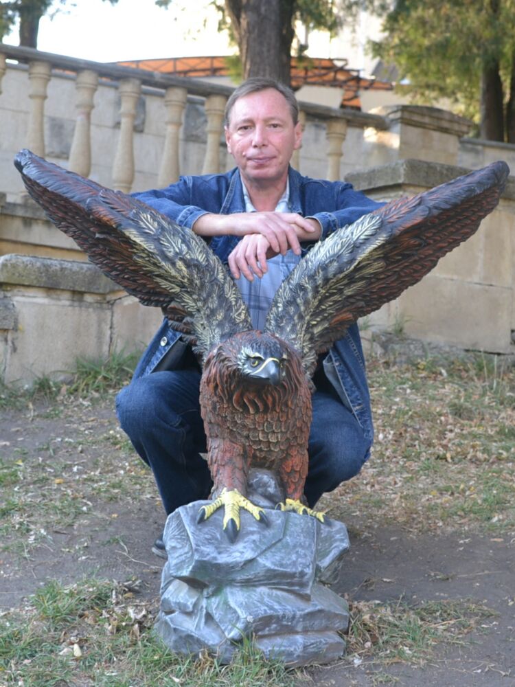 ���������� ���������, ���� ������� ���������Vik, 56 ���, ������������ ��� ����� � ���������, c�������� ���������