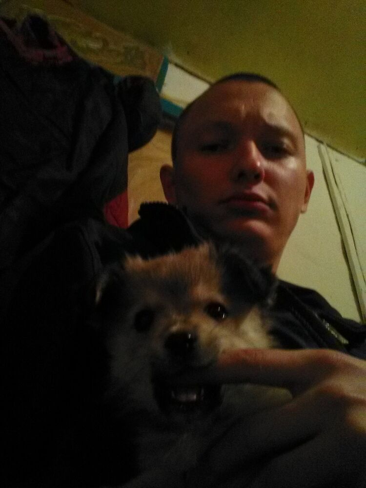 ���������� ������, ���� ������� �������, 33 ����, ������������ ��� ������, ����� � ���������