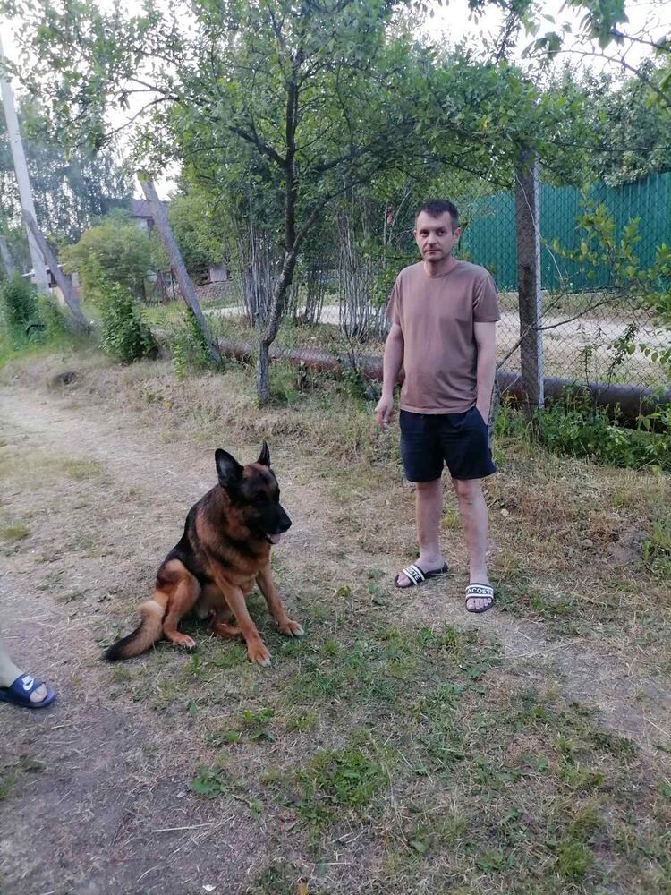 ���������� �����, ���� ������� �������, 41 ���, ������������ ��� ������, ����� � ���������, c�������� ���������